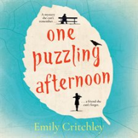 One_puzzling_afternoon