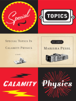 Special_Topics_in_Calamity_Physics