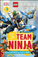 Team_ninja