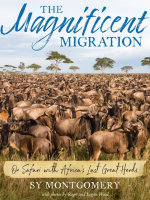 The_magnificent_migration